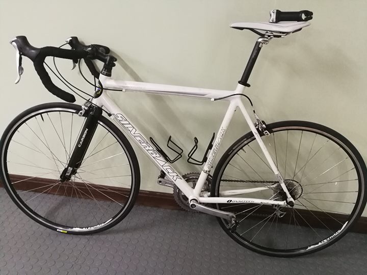 silverback road bikes