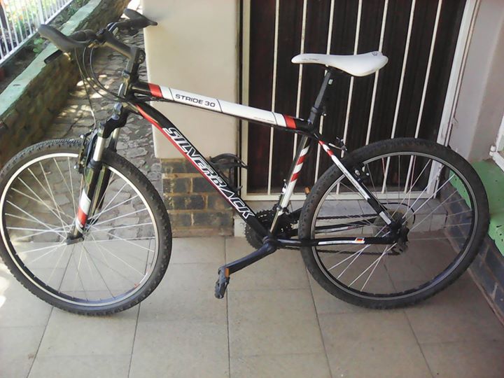 silverback stride se